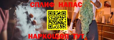 Альфа ПВП Новодвинск