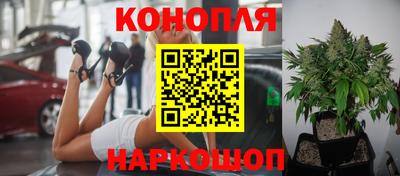 скорость Новокубанск