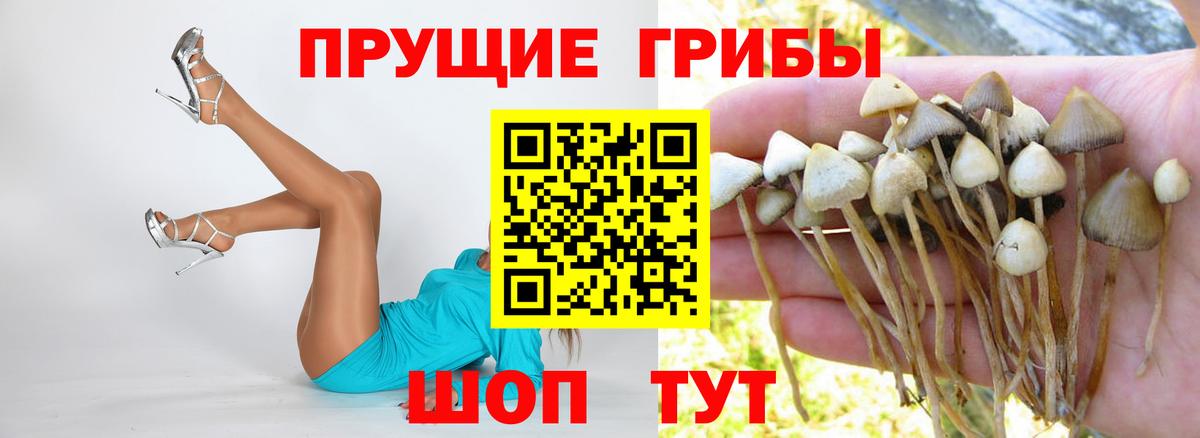 Галлюциногенные грибы MAGIC MUSHROOMS  Вход с VPN  Псилоцибиновые грибы Magic Shrooms  Урус-Мартан 